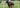What to Wear to the Melbourne Spring Racing Carnival: A Style Guide for 2023
