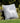 Deer Grey Wool Cushion Cover