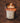 Bradley Mountain Fraser Fir & Redwood Candle