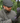 Dents Forest Tweed Flat Cap