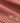 NN07 Holiday Shorts