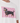 Monari Dachshund T-Shirt