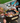 Aluvy Sam Brazier Fire Pit & BBQ