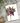 Hellebore Card