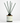 Santal Reed Diffuser