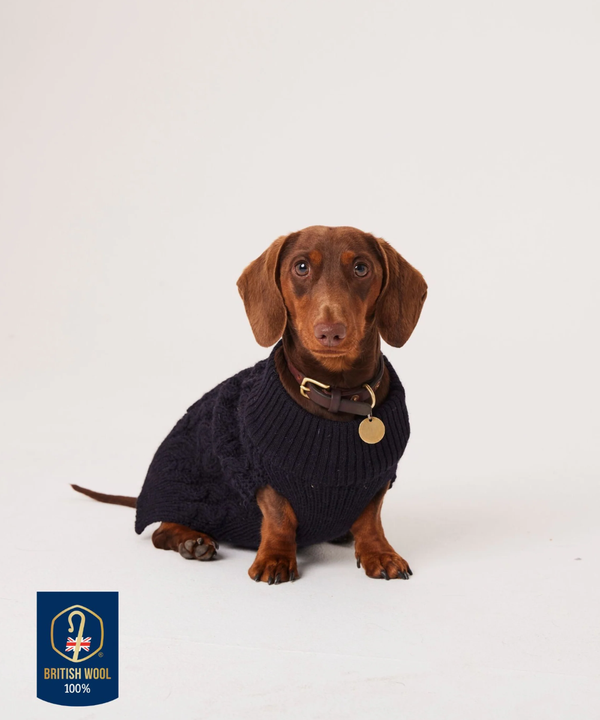 Peregrine Houndson Aran Dog Jumper