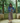Mos Mosh Chari Chaz Skirt